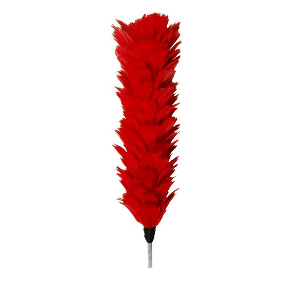 Red Feather Plume / Hackle 12"